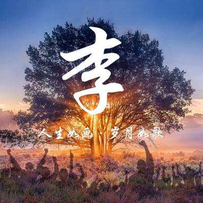 小米龙印ol手游下载