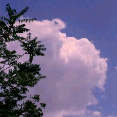 果盘游戏地下城与冒险下载